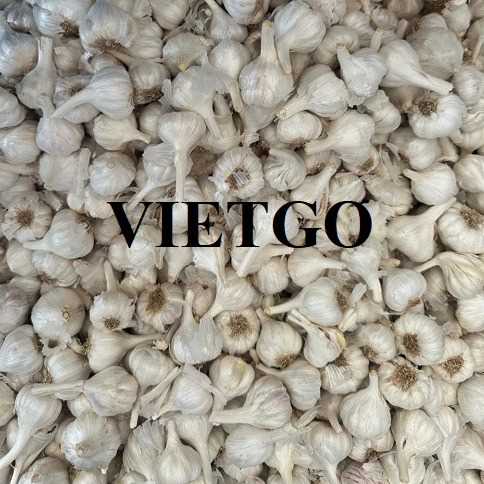 Cơ hội xuất khẩu tỏi trắng sang thị trường Campuchia