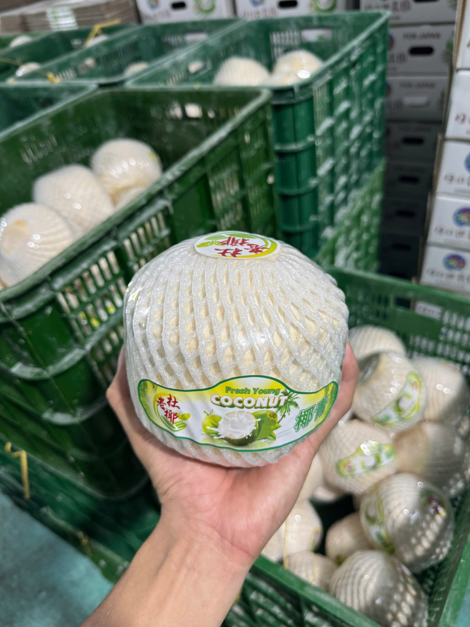 Cần tìm FWD báo giá cước vận tải hàng dừa tươi gọt vỏ đi Singapore