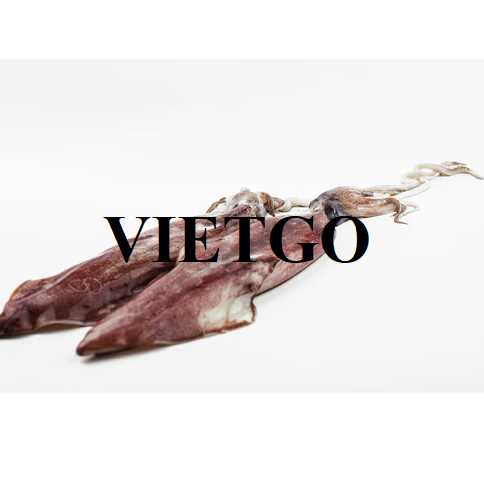 Cơ hội xuất khẩu mực sang thị trường Trung Quốc