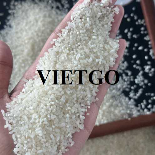 Cơ hội hợp tác xuất khẩu gạo cùng vị khách người Úc 