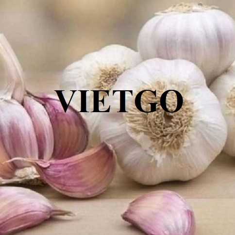 Cơ hội hợp tác xuất khẩu tỏi đến thị trường Malaysia 