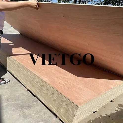 Thương vụ xuất khẩu gỗ dán sang thị trường Ấn Độ
