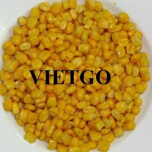 Cơ hội xuất khẩu ngô đóng hộp vào thị trường Hàn Quốc