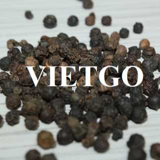 Cơ hội xuất khẩu hạt tiêu đen sang thị trường Ấn Độ 