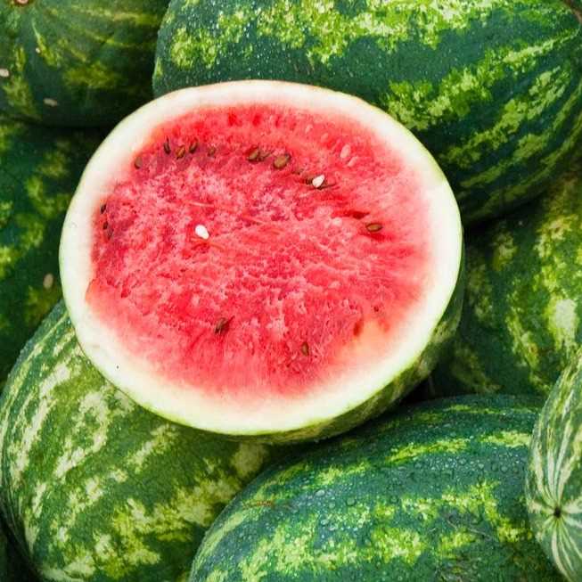 i want to buy watermelon