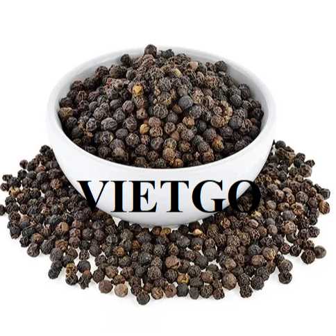 Cơ hội hợp tác xuất khẩu hạt tiêu đến thị trường Afghanistan 