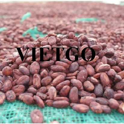 Cơ hội xuất khẩu hạt cacao đến thị trường Azerbaijan