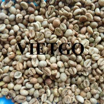 Cơ hội xuất khẩu hạt cà phê Arabica và Robusta sang thị trường Ý 