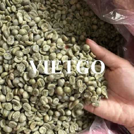 Cơ hội xuất khẩu hạt cà phê xanh Arabica cùng vị khách người Thổ Nhĩ Kỳ