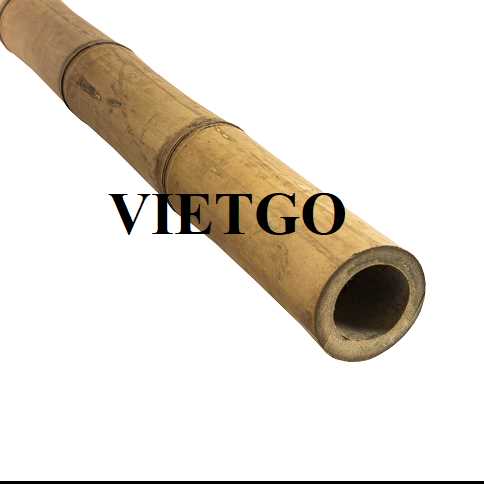 Cơ hội xuất khẩu gậy tre sang thị trường Ấn Độ
