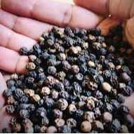 I want to buy black pepper