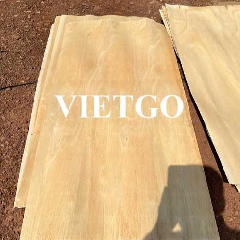 Thương vụ xuất khẩu ván bóc cao su sang thị trường Ấn Độ