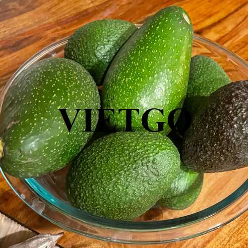 Cơ hội hợp tác xuất khẩu bơ đến thị trường Trung Quốc 