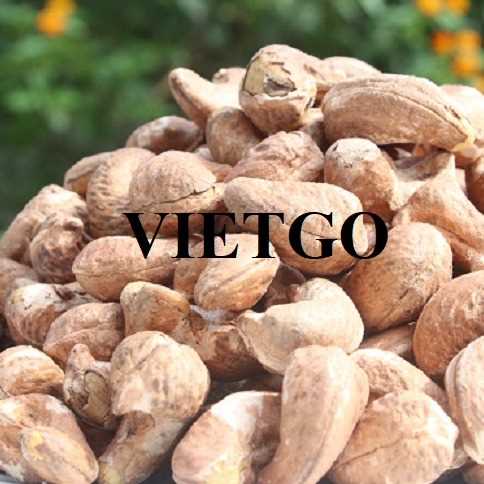 Cơ hội hợp tác xuất khẩu hạt điều đến thị trường Malaysia  
