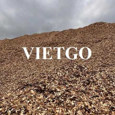 Thương vụ xuất khẩu gỗ vụn sang thị trường Trung Quốc
