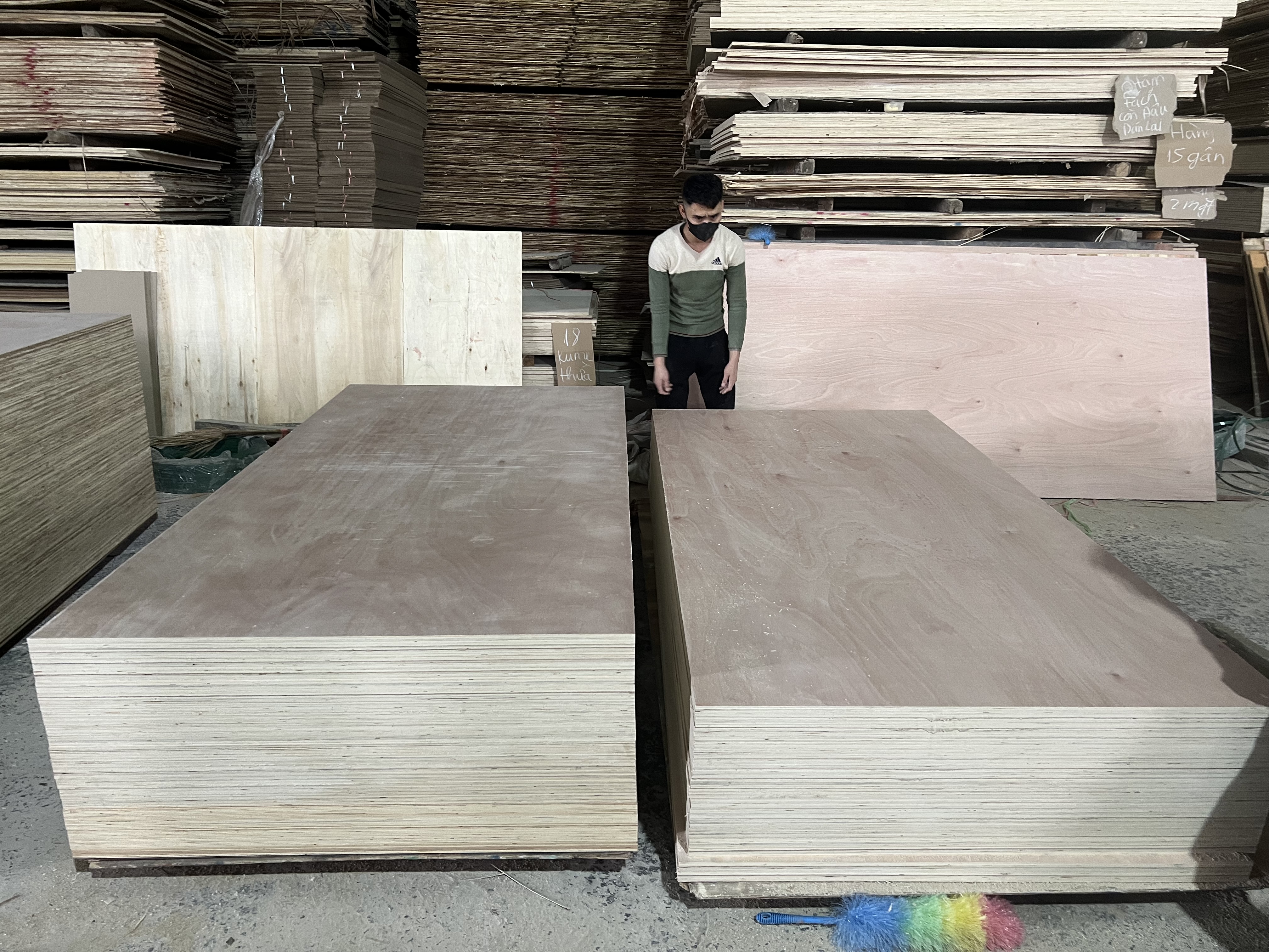 Cần tìm đơn vị vận tải vận chuyển hàng gỗ dán đi Ấn Độ