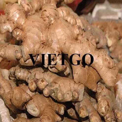 Cơ hội xuất khẩu gừng tươi đến thị trường Bangladesh