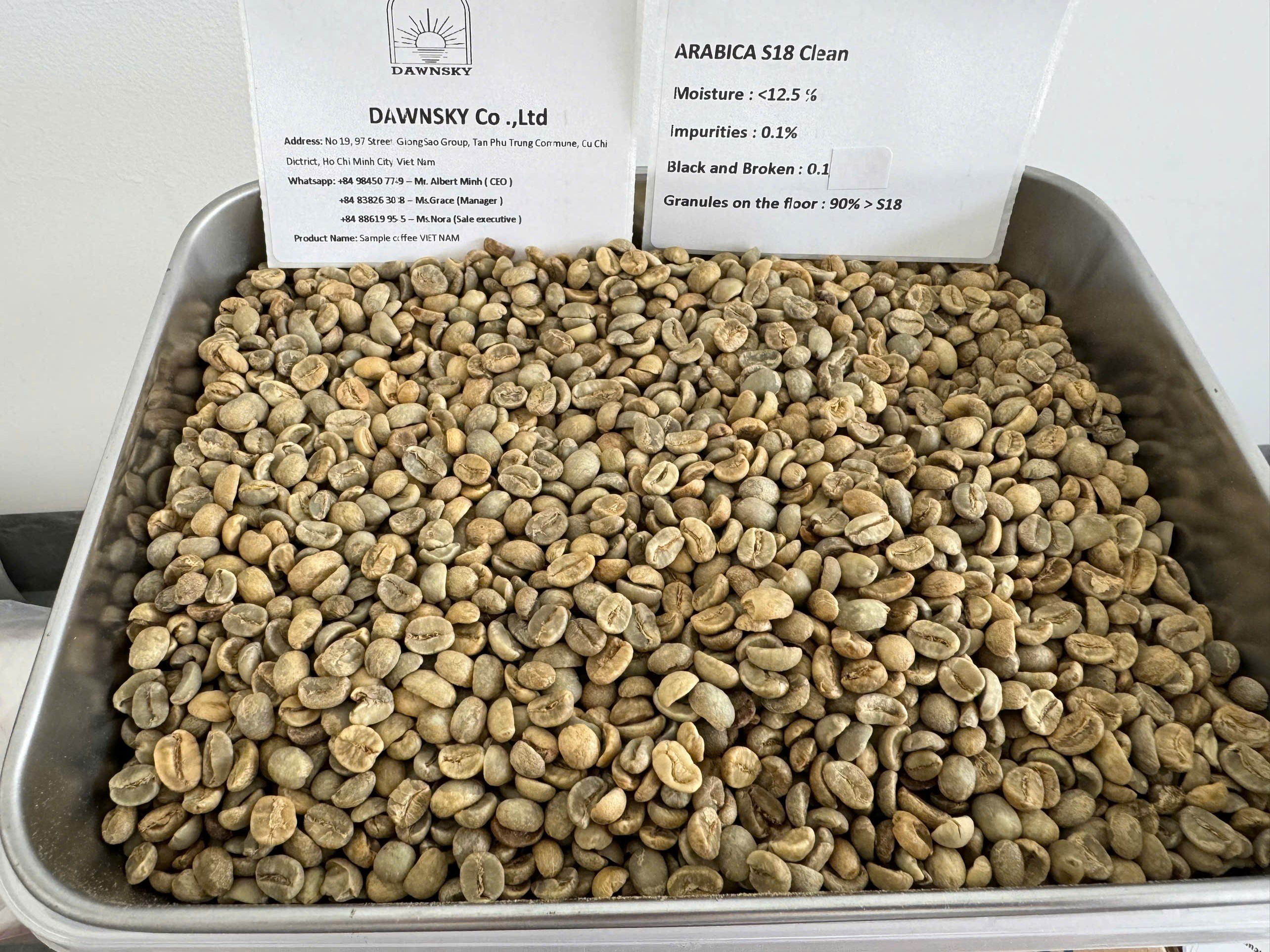 Cafe Arabica