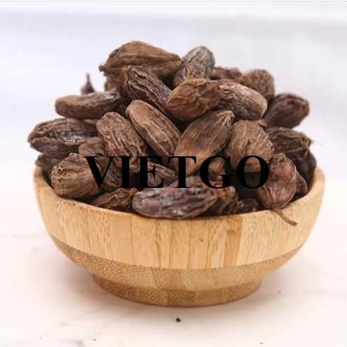 Cơ hội hợp tác xuất khẩu thảo quả đến thị trường Mỹ  