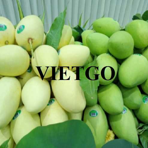 Cơ hội hợp tác xuất khẩu xoài đến thị trường Indonesia