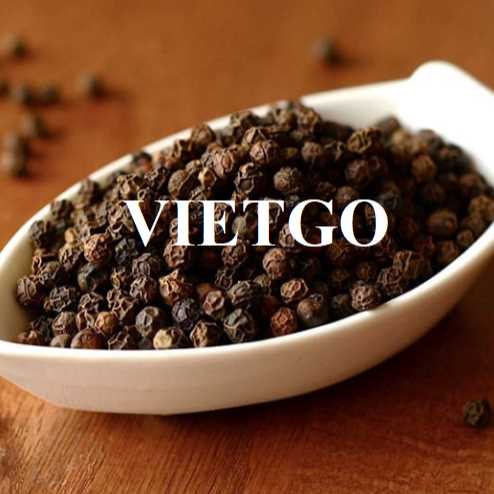 Cơ hội hợp tác xuất khẩu hạt tiêu đến thị trường Ấn Độ 