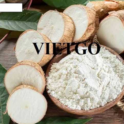 (Gấp) Cơ hội xuất khẩu tinh bột sắn sang thị trường Trung Quốc