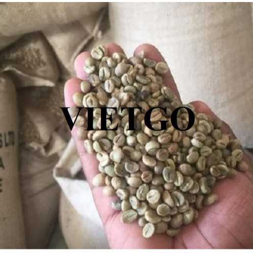 Cơ hội xuất khẩu hạt cà phê xanh Robusta sang thị trường Bồ Đào Nha