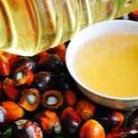 I want to buy palm oil