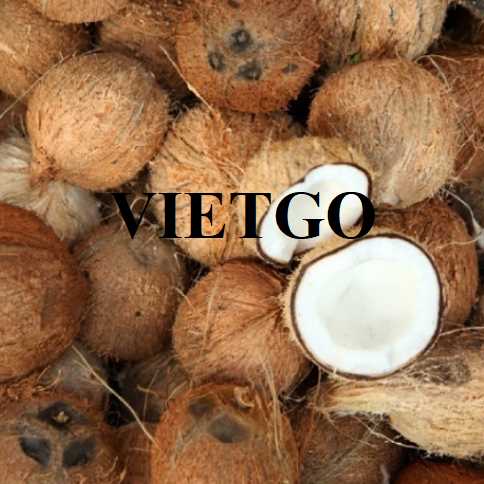Cơ hội hợp tác xuất khẩu dừa đến thị trường Ấn Độ 