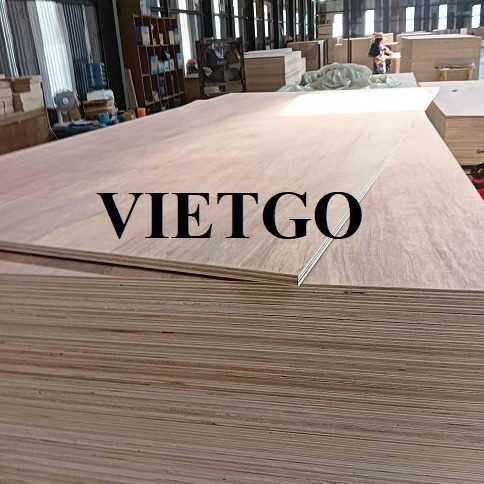 Thương vụ xuất khẩu gỗ dán đến thị trường Panama  
