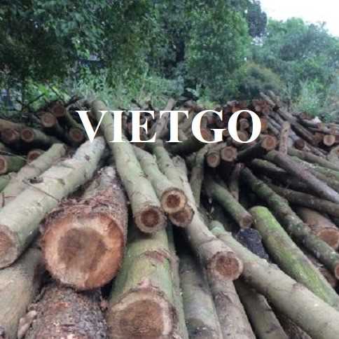 Thương vụ xuất khẩu sản phẩm gỗ keo tròn đến thị trường Ấn Độ