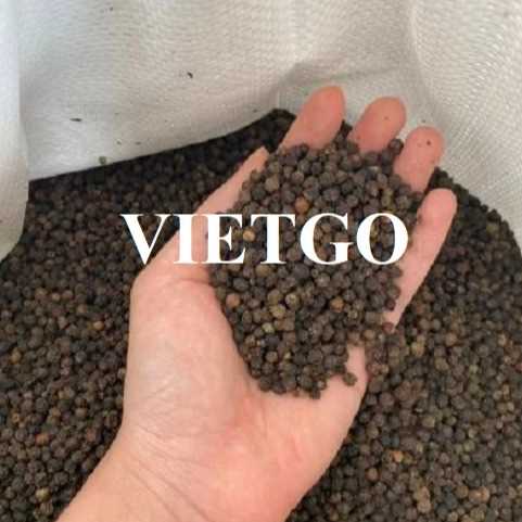Cơ hội xuất khẩu hạt tiêu đen sang thị trường Ấn Độ