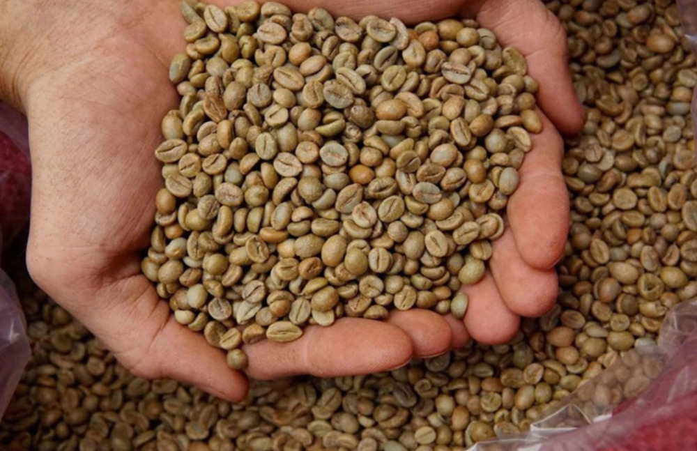 Cần tìm đơn vị vận tải vận chuyển mặt hàng cafe đi Trung Quốc