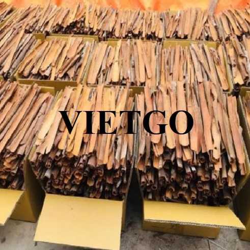 Cơ hội hợp tác xuất khẩu quế chẻ cùng vị khách người Pháp