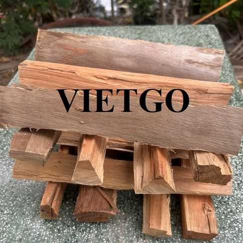 Thương vụ xuất khẩu sản phẩm củi gỗ đến thị trường Ấn Độ