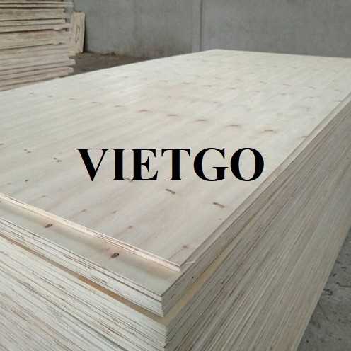 Thương vụ xuất khẩu sản phẩm ván ép bao bì đến thị trường Ấn Độ