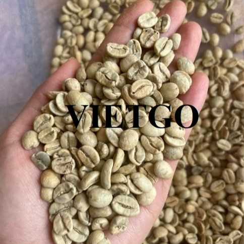 Cơ hội hợp tác xuất khẩu hạt cà phê xanh sang thị trường Cộng hòa Séc