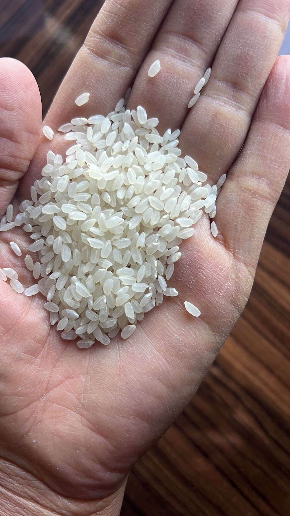 Tìm đơn vị vận tải báo giá sản phẩm gạo sang Cotonou