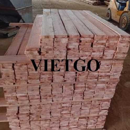 Thương vụ xuất khẩu gỗ bạch đàn xẻ sang thị trường Ấn Độ