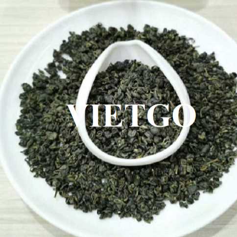 Cơ hội hợp tác xuất khẩu chè xanh đến thị trường Afghanistan