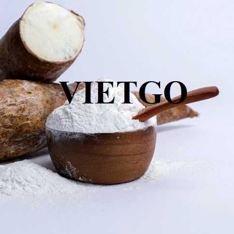 Cơ hội hợp tác xuất khẩu tinh bột sắn đến thị trường Trung Quốc 