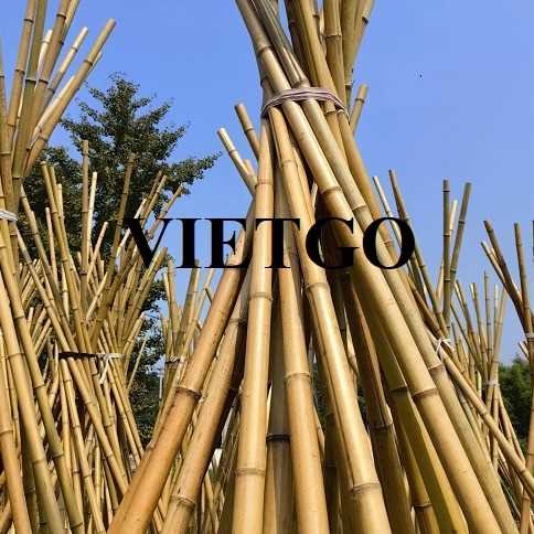 Cơ hội giao thương xuất khẩu gậy tre sang thị trường Ấn Độ