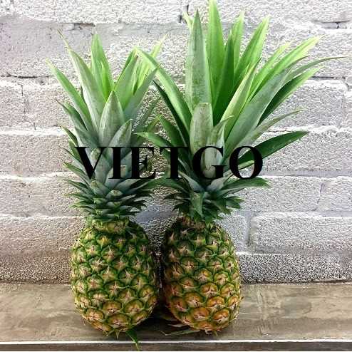 (Gấp) Cơ hội xuất khẩu dứa tươi MD2 sang thị trường UAE