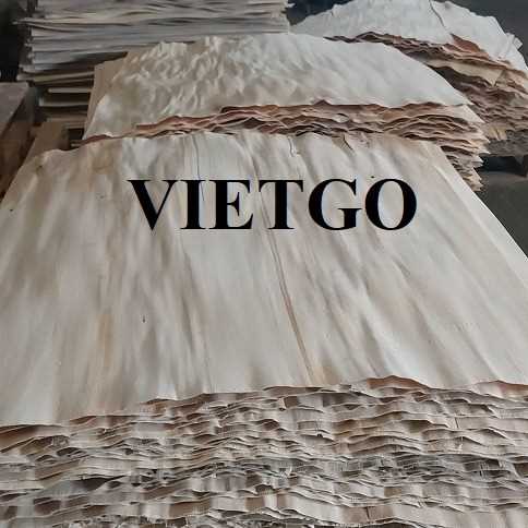 Thương vụ xuất khẩu sản phẩm ván bóc đến thị trường Maroc