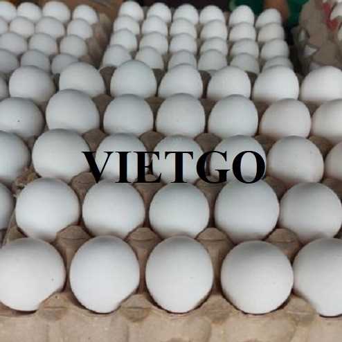 Cơ hội hợp tác xuất khẩu trứng sang thị trường Thổ Nhĩ Kỳ