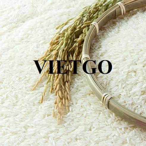 Cơ hội xuất khẩu gạo tới Cộng hòa Dominica 