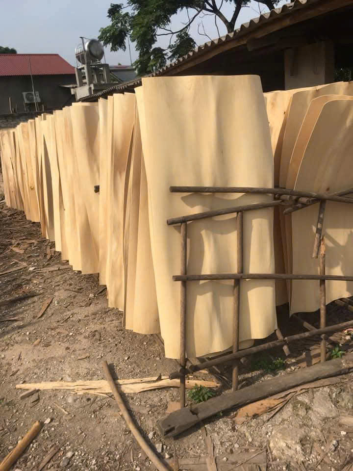Cần tìm nhà vận tải biển sang Ấn Độ