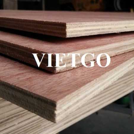 Thương vụ xuất khẩu gỗ dán sang thị trường Mayotte