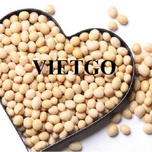 Cơ hội hợp tác xuất khẩu đậu nành sang thị trường Trung Quốc