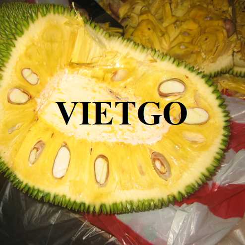 Cơ hội hợp tác xuất khẩu mít đến thị trường Anh và UAE 